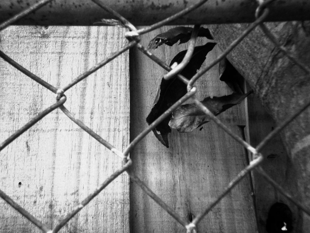 Rusty Fence BW © Sandra Jean-Pierre